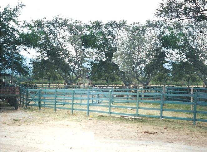 corral redondo ovalado corral con curvas corral sin esquinas corral moderno corrales redondos corral redondo para caballos cómo construir un corral redondo trabajo corral redondo corral 04 corral redondo ovalado corral con curvas corral sin esquinas corral moderno corrales redondos corral redondo para caballos cómo construir corral redondo ovalado corral con curvas corral sin esquinas corral moderno corrales redondos corral redondo para caballos cómo construir un corral redondo trabajo corral redondo corral 04 un corral redondo trabajo corral redondo corral 04